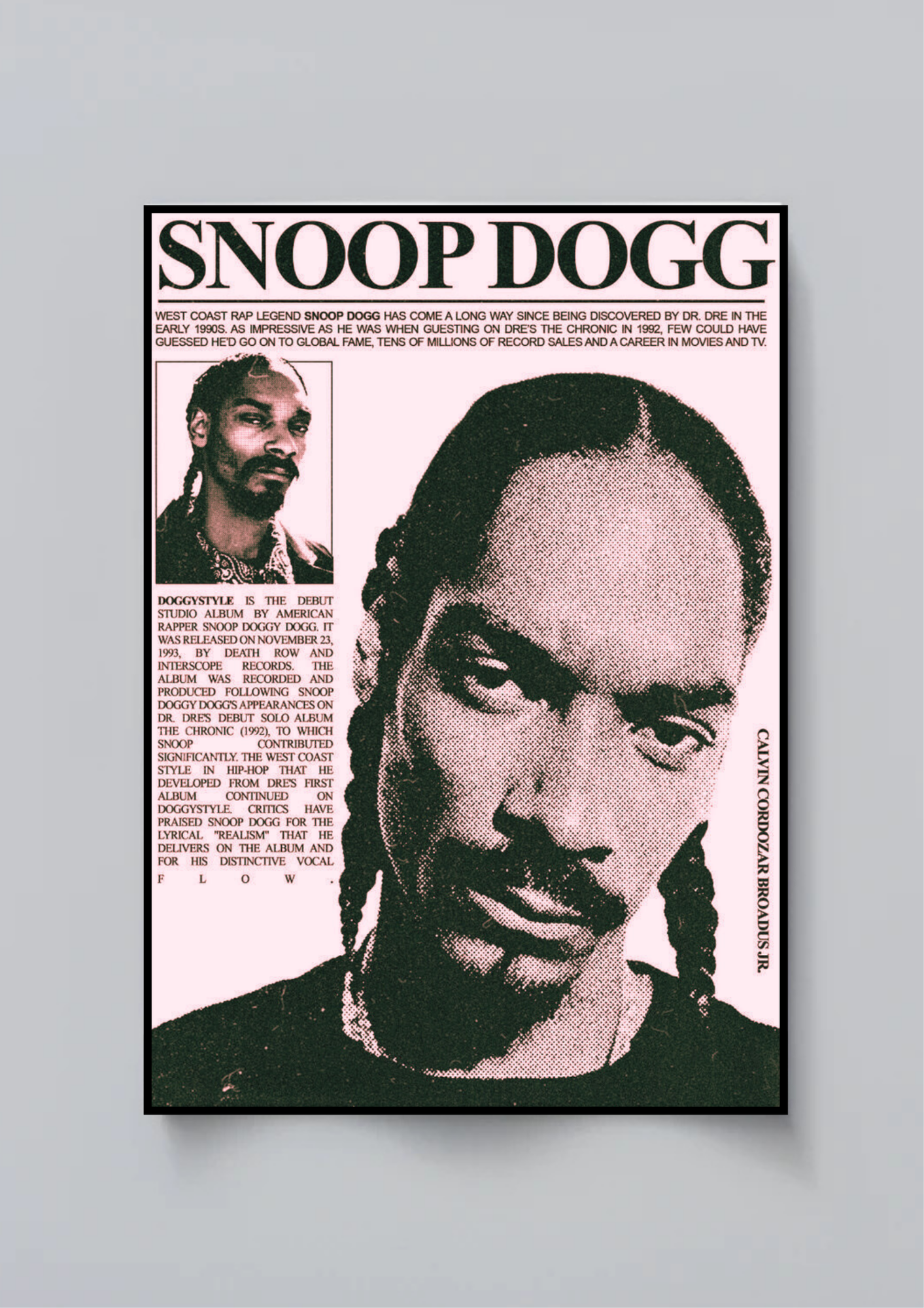 Snoop Dogg| Hip-Hop Rapper | Retro Music Poster Poster Printing Company